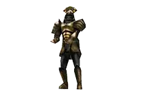 Chief Skeleton Archer 4