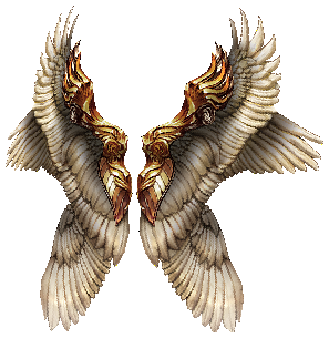 4th Wing